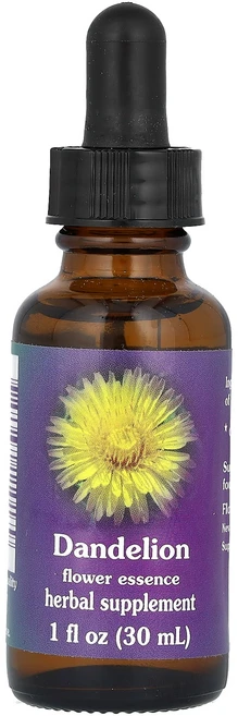 몸관리하세요 겨울입니다 Flower Essence Services 민들레 꽃 에센스 30ml(1fl oz) 특별관리진행, FlowerEssenceServices민들레꽃에센스30 - 쿠팡