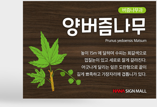 수목 표찰 이름표 나무 명패 팻말 간판 실외용 고급 사각 표지판 부착형, B타입 B-06, 1개