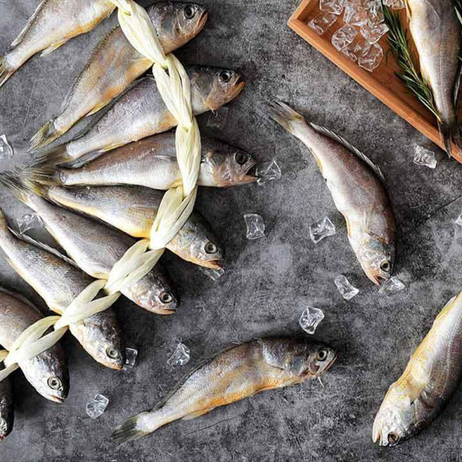 삼삼한 맛있는 참굴비 5호 선물세트 (20미1.8kg이상), 단품, 단품