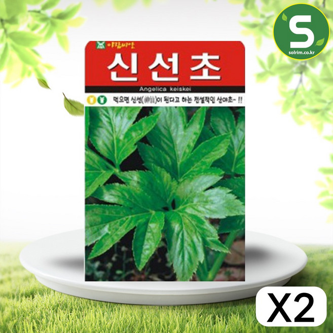 솔림텃밭몰 신선초씨앗 100립 약초씨앗 산야초 민속채소 신선초, 2개