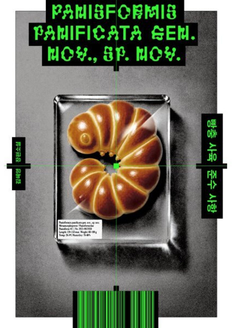 빵충사육준수사항 완벽 가이드 — 선택 방법부터 주의사항까지
