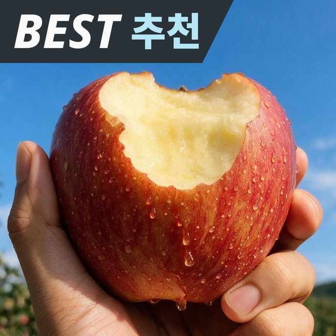 [10월한정] 사과 구매1위 정품 부사사과, 1박스, 5kg 정품(BEST)