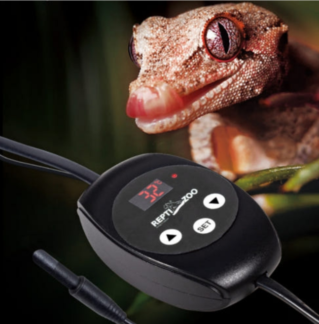 렙티주 자동온도조절기, 1개