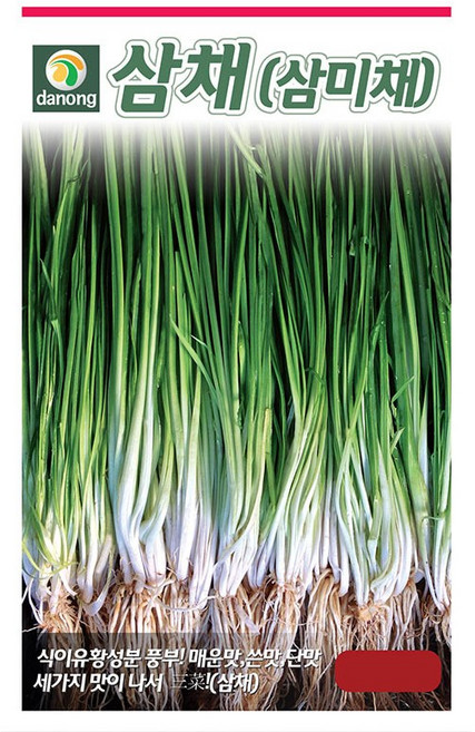 다농 삼채 씨앗 100p, 1개