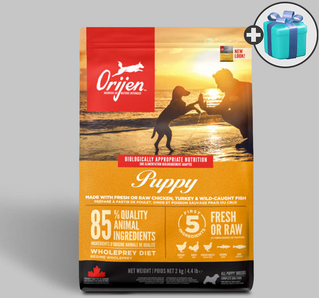 오리젠 퍼피 독 + 덴탈껌3P + 소분셋트, 2kg, 1개, 닭