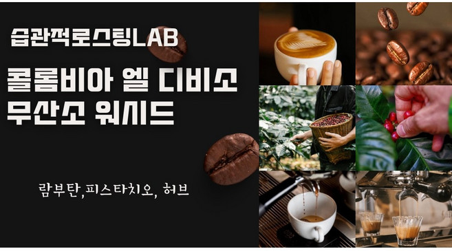 콜롬비아 엘 디비소 무산소 워시드, 1개, 200g, 홀빈(분쇄안함)