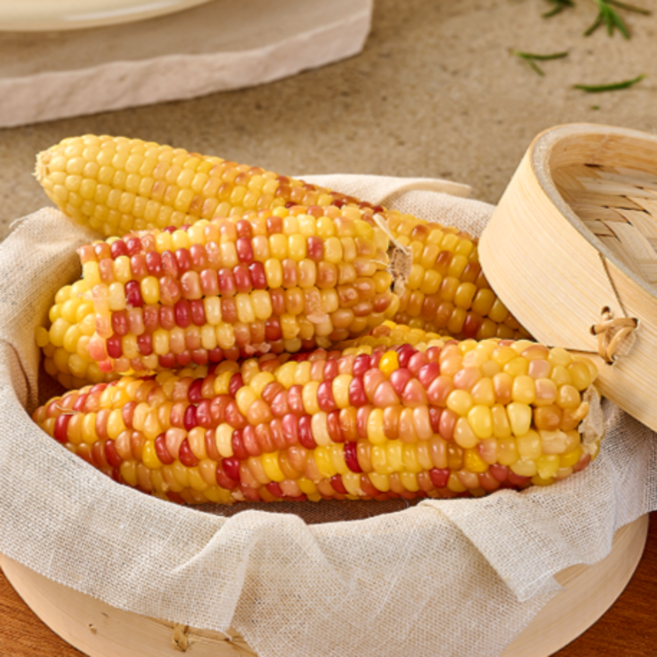 [특대사이즈] 쪄서가는 프리미엄 특대 홍찰옥수수 10~20개, 1. 홍찰옥수수 특대 10개입, 1개