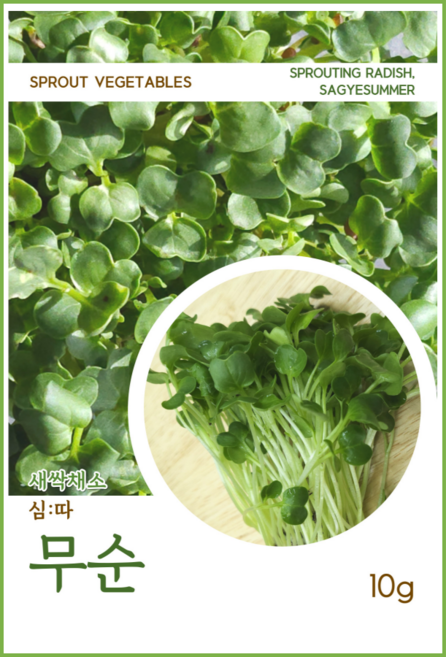 새싹채소씨앗 모음, 02. 새싹 무순 씨앗 10g, 1개