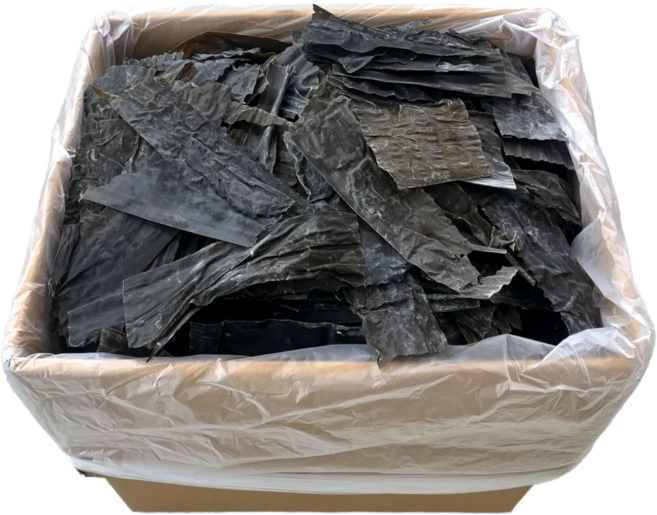 완도 최고집 파지다시마 5kg (벌크제품 - 식당용 업소용 기업용 대용량 육수), 1개