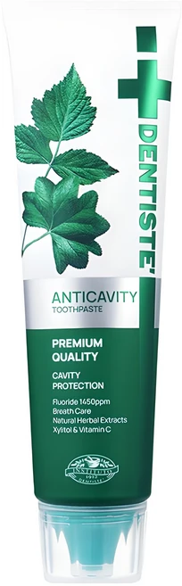 덴티스테 안티캐비티 치약, 100g, 1개 - 쿠팡