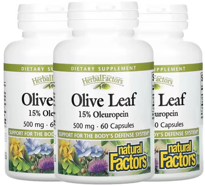네츄럴팩터스 허발펙터스 올리브잎 500 mg 60캡슐, 3개, 60정 - 쿠팡