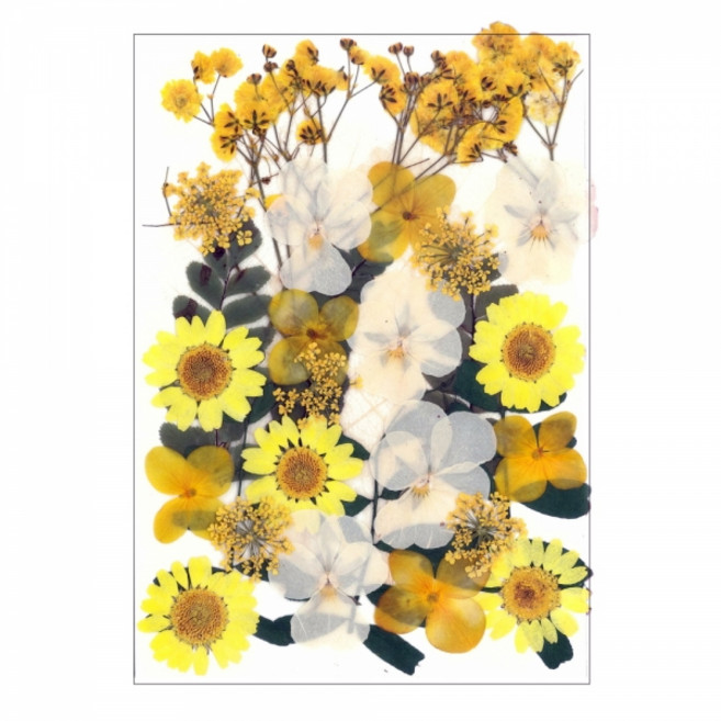 레진아트/만들기재료/프레스플라워(압화)세트 XM19, 1개