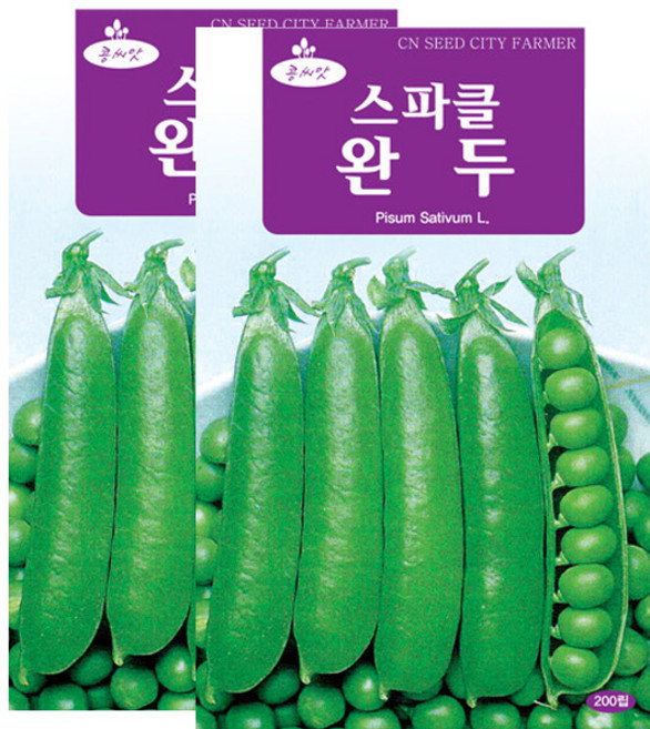 세인화분 스파클 완두 200립 - 국산 완두콩 씨 씨앗, 2개