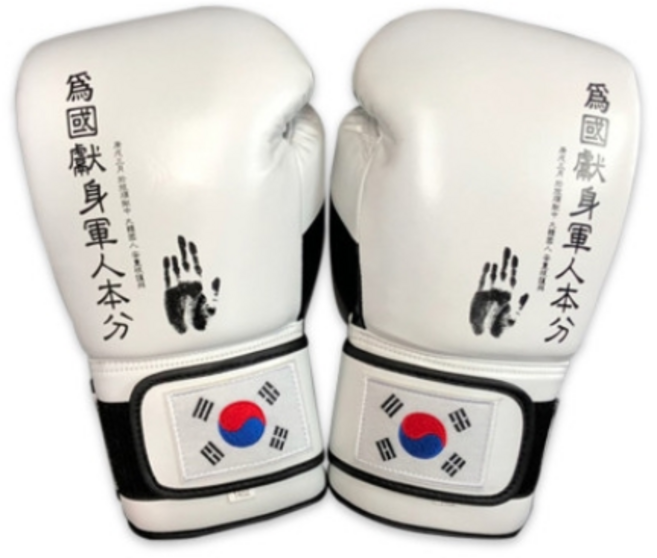 위국헌신 복싱 글러브 킥복싱 격투기 mma 복싱글러브, 화이트14oz, 1개