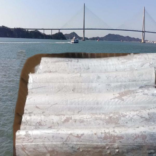 장수웰빙 목포 토막갈치450g내외(3마리), 단품, 단품