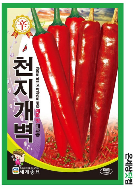 천지개벽 고추 1200립 / 고추씨앗 고추씨 매운고추 홍고추, 1개
