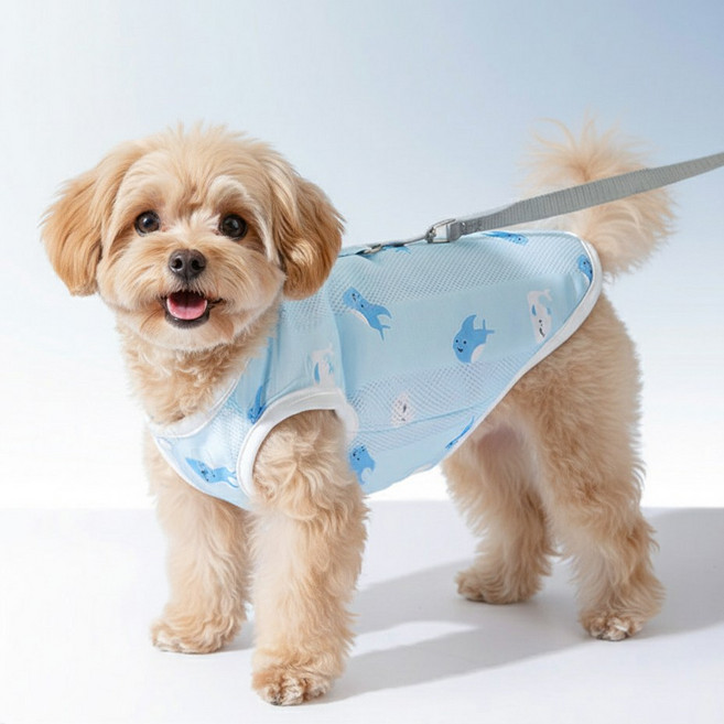 매일그개와 강아지 쿨조끼 쿨하네스 아이스조끼, 블루, 1개