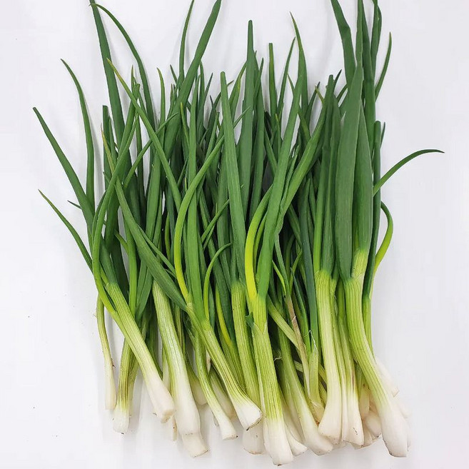 농산물마루 국내산 쪽파 깐쪽파, 1박스, 1.25kg