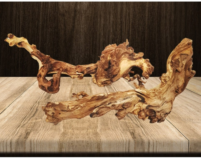 고퀄리티 벨르 유목 소 중 사이즈 비바리움 파충류 천연유목, 중사이즈, 1개