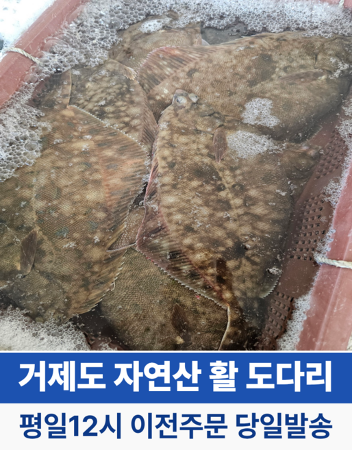 거제도 자연산 활 손질 봄 도다리 쑥국 문치가자미, 1개, 손질 활 도다리 600g+매운탕양념소스