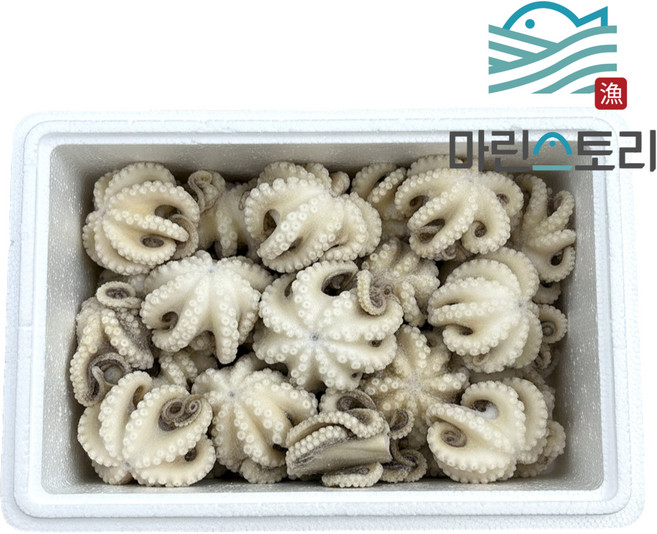 왕쭈꾸미 대왕쭈꾸미 냉동 쭈꾸미 대용량 업소용, 1박스, 5kg (150/200)