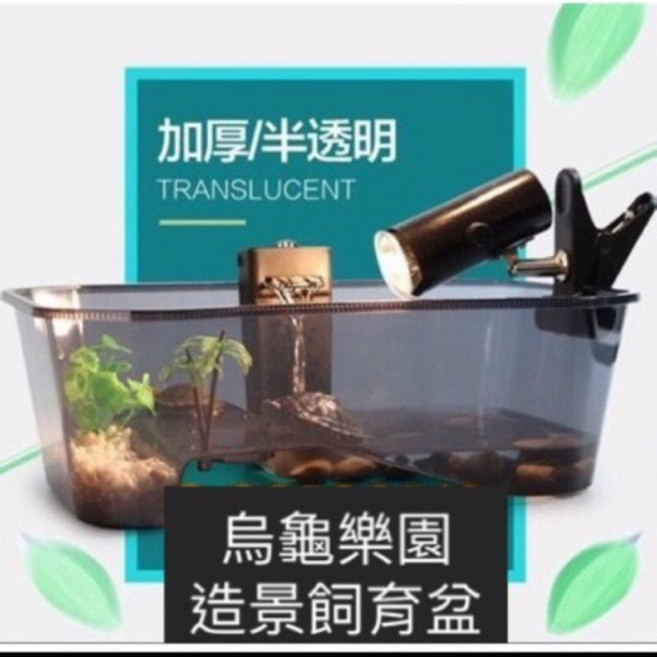 邦邦水族 半透明烏龜生態盆 爬蟲 兩棲 飼養盆 培育箱 寵物箱 烏龜缸, 1個, s款透明藍