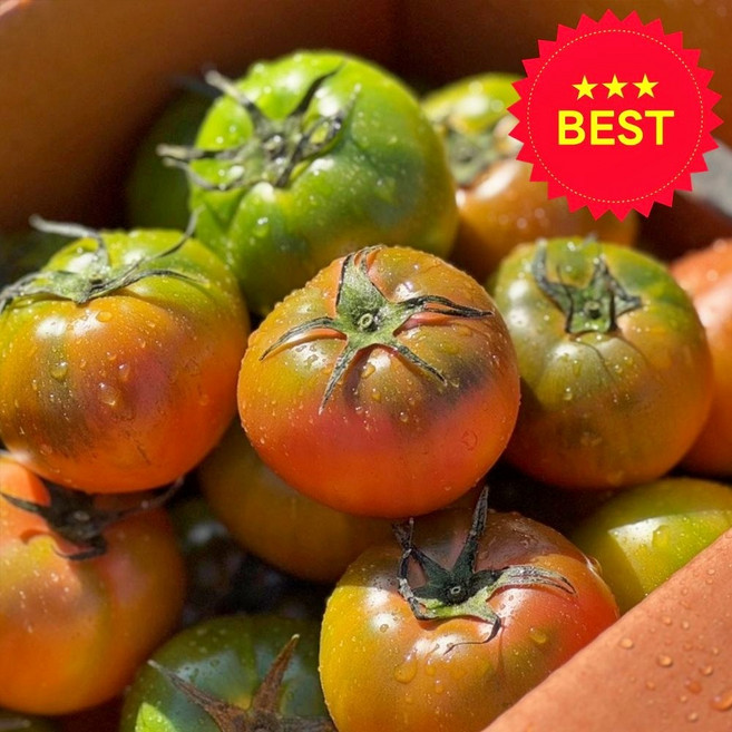 (산지 직송) 대저 짭짤이 토마토 특품, 1박스, 2.5kg (로얄과 3S-S)