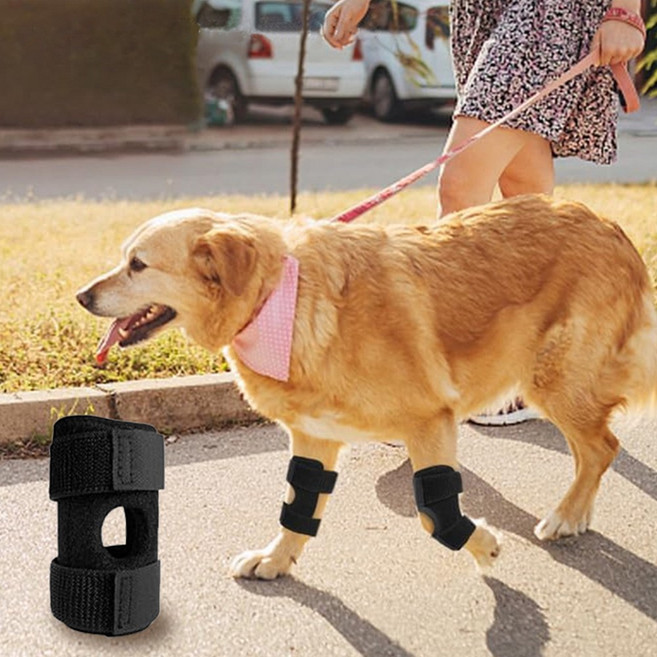반려견 관절 보호대 슬개골 관절 발목 다리, 2개, 블랙
