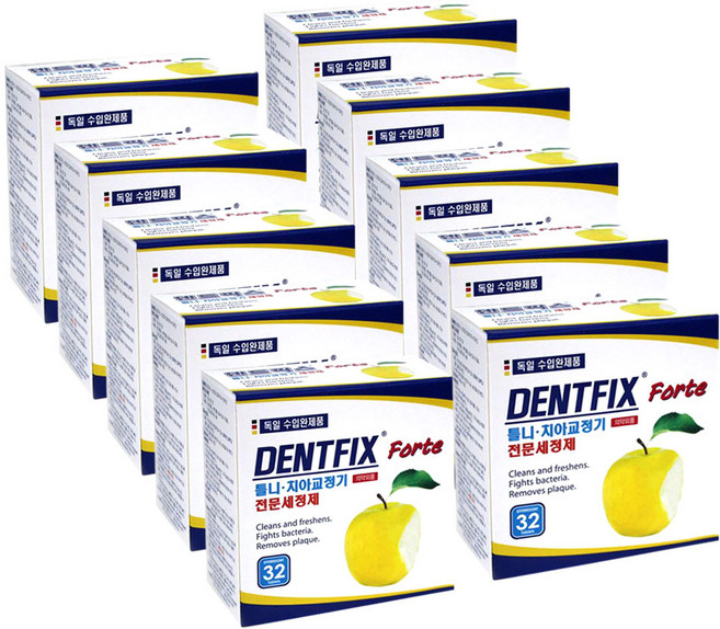 덴트픽스 포르테 틀니세정세 32정 10갑 의치교정기세정세척 독일정품 DENTFIX, 32개입, 10개