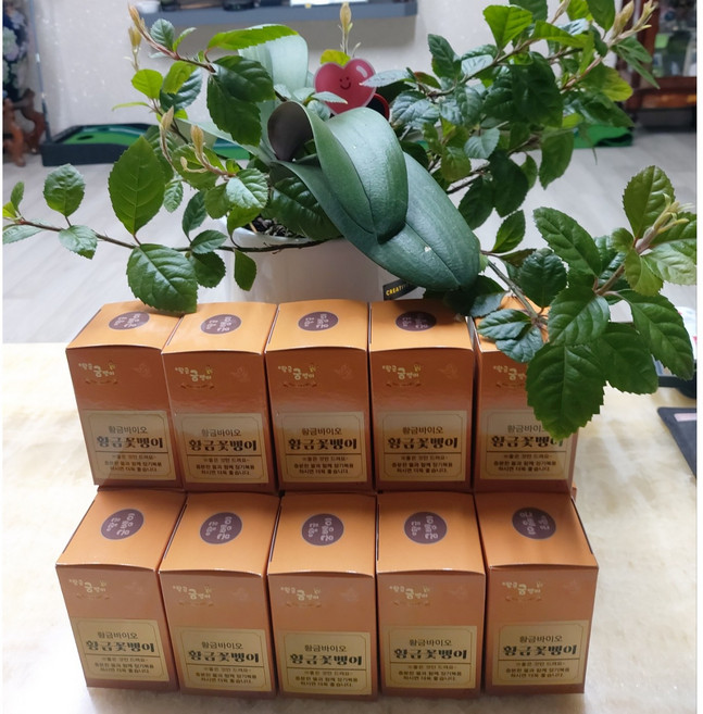 황금 굼벵이환 굼뱅이 단백질, 2개