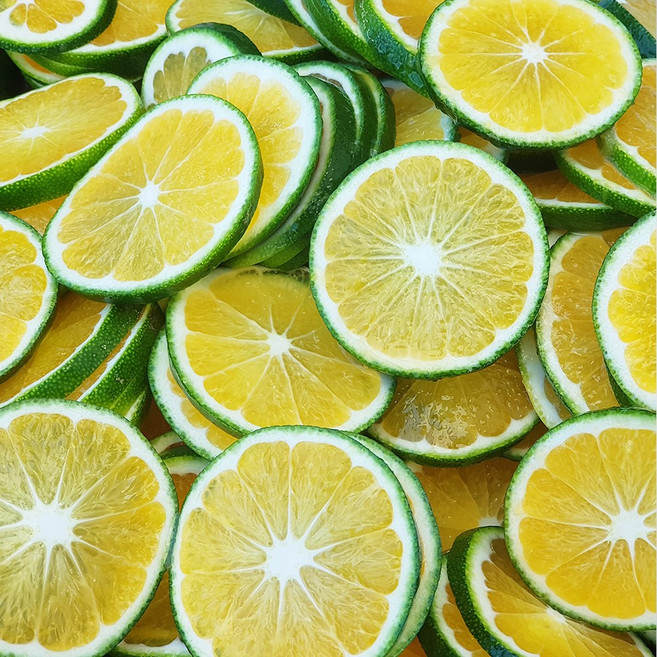 제주삼촌 제주 청귤 풋귤 혼합과, 청귤슬라이스 2kg, 1개