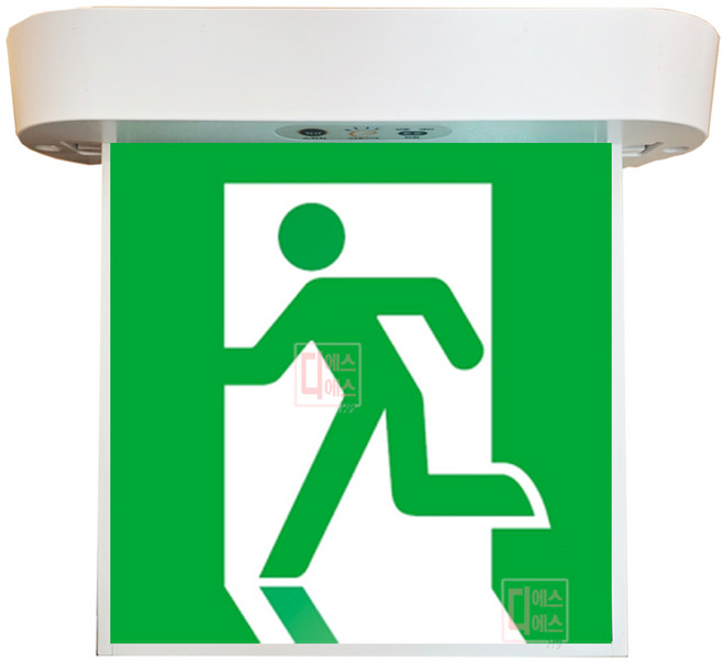 리더스테크 피난구유도등 천정형 대형 당일발송 국산정품, 1개, 단면 - 무방향