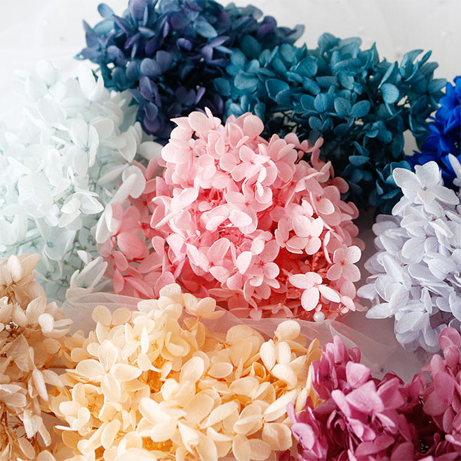 드그라쎄 수국 프리저브드 드라이플라워 18color - 프리저브드플라워, 03. 벚꽃핑크