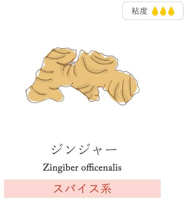 ogaland 아로마 오일 진저 10ml 아로마 디퓨저 정유 100%, 1개, 1ml, 상세페이지 참조