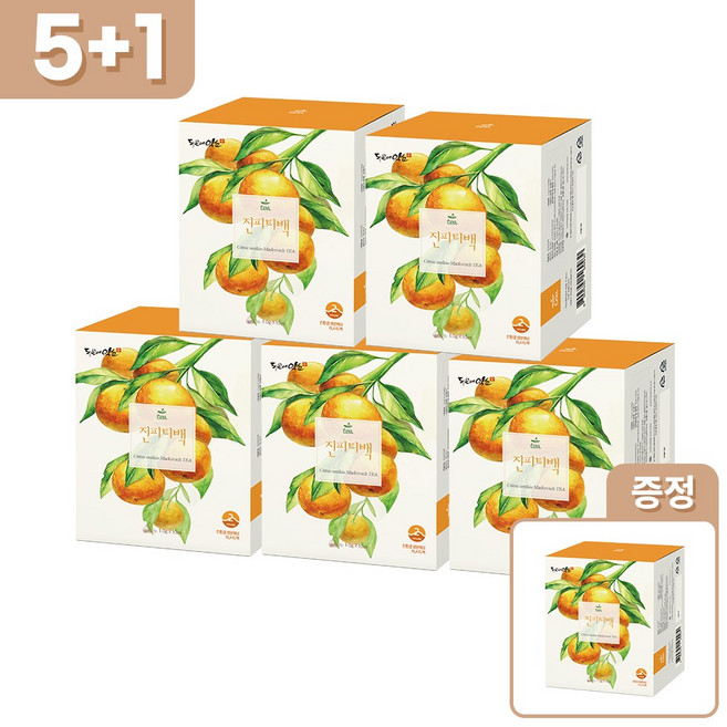 [5개 선택시 1개 더] 감잎티백 친환경 PLA 개별포장, 10g, 10개입, 5박스