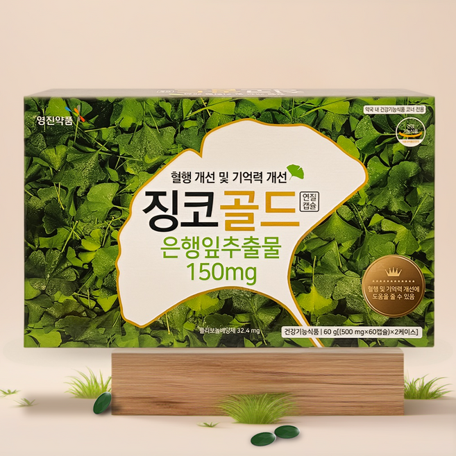 영진약품 징코골드 혈행개선, 120정, 1세트