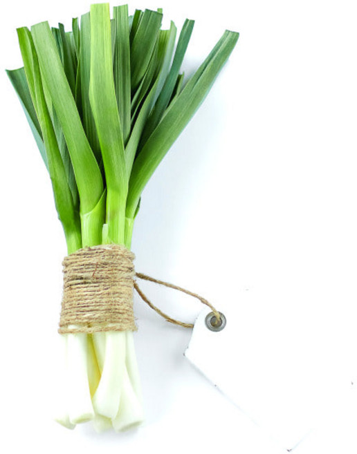 생(生)릭 400g fresh leek 서양 달콤한 대파, 1개