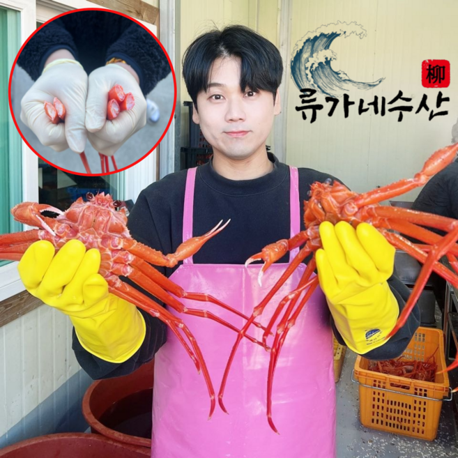 [선주직송] 포항 구룡포 영덕 프리미엄 품질보증 자숙 박달홍게 연지홍게 홍게, 1개, [프리미엄] 박달형홍게 3kg(9~11미)