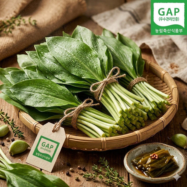 [더밭 산지직송] 2026년 4월 첫수확 울릉도 명이나물 생잎 잎명이 대명이 산마늘 봄나물 쌈채소, 1박스, 대명이 500g