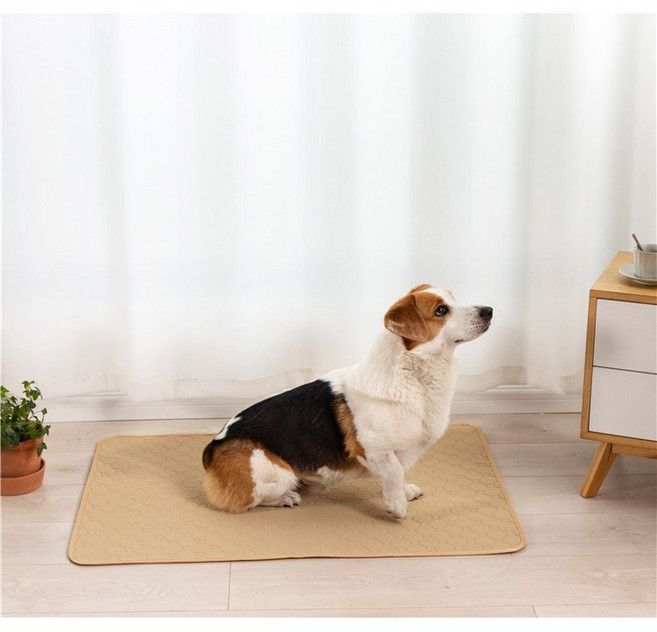 빨아쓰는 배변패드 애견 패드 반영구, 베이지, 1개