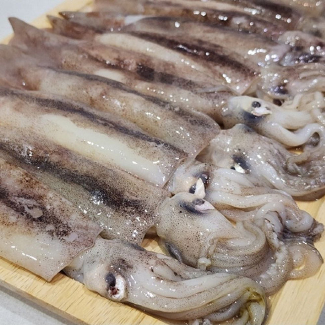 신선한 국내산 생물 오징어 3kg 숙회 볶음 반찬용 요리 재료 수산물 dar9916Hj, 1개, 단일