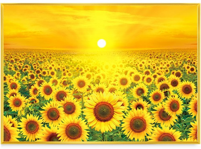 디데코 돈들어오는 황금 빛 해바라기 그림 액자 거실 현관 풍수 집들이 개업 선물 인테리어 금전운 골드 액자, 1개