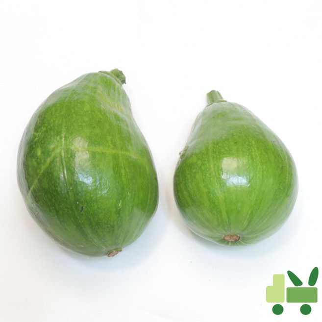 풋호박 (둥근호박) 10Kg (상), 1세트