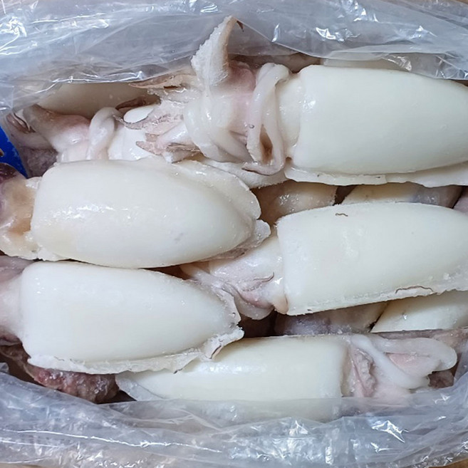 냉동 손질갑오징어 5kg 업소용, 200/300, 1개