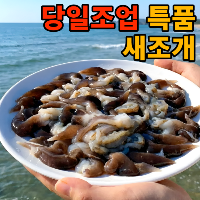 [타임특가] 재구매율1위 자연산 손질 새조개, 1박스, 200g