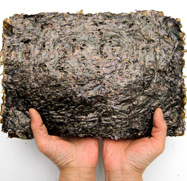 푸레아 국내산 곱창 재래 돌김 특품 100매, 국내산 특품 곱창재래돌김 100매, 1