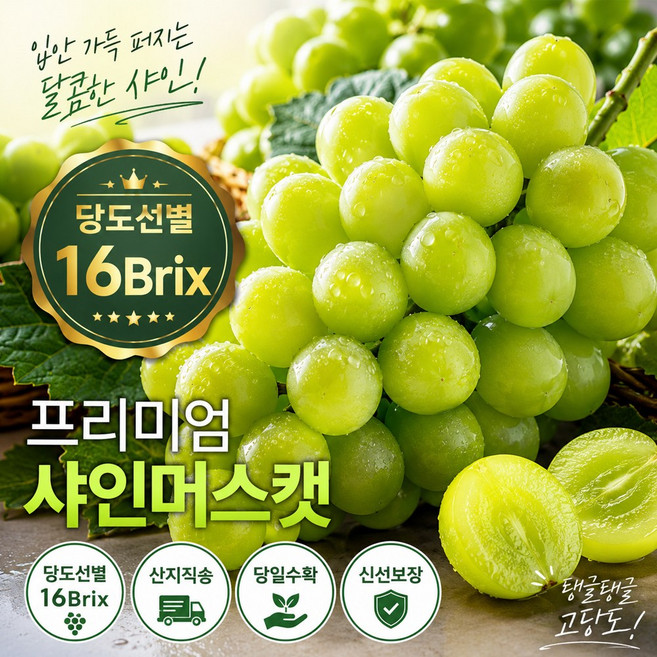[16brix] 2026 햇 샤인머스켓 당도선별 고당도 보장 샤인머스캣, 1개, 1kg 2송이