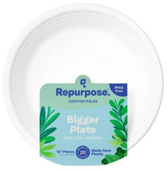 리펄포즈 컴포스터블 비거 플레이트 일회용접시 25.4cm, 1개, 1개