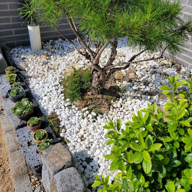 백자갈 20~30mm 전원주택 정원 마당 카페 베란다 조경 인테리어 자갈 해미석 돌멩이, 18kg, 1개