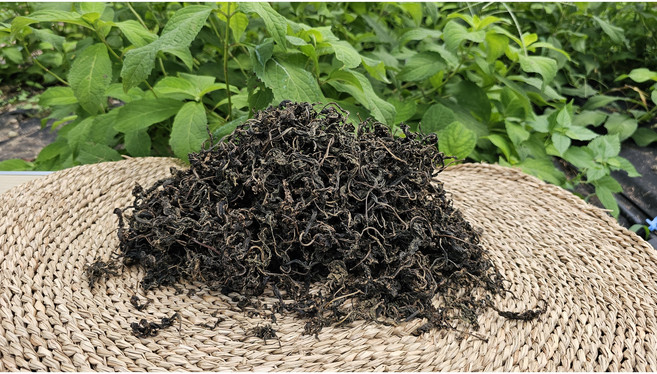 수국차 수국잎차 미소예가 100g 벌크, 1개입, 1개